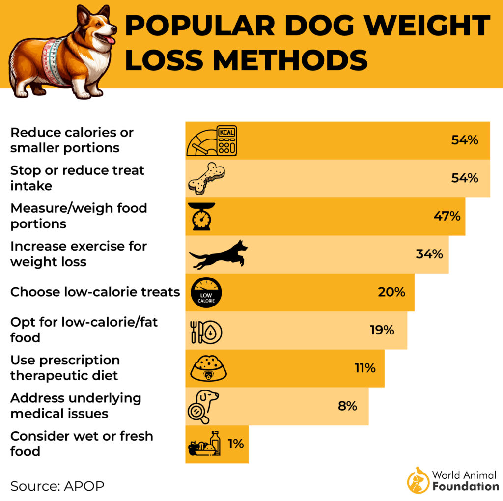 Popular dog weight loss methods