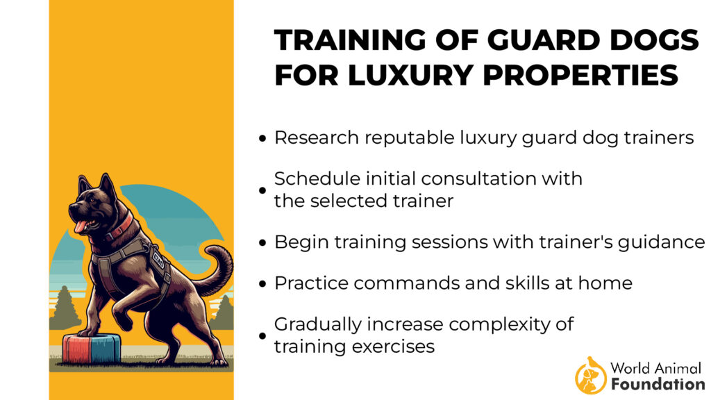 training of guard dog s for luxury properties protection