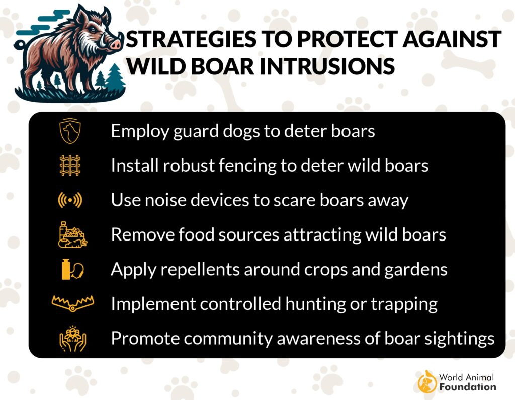 Strategies to Protect Against Wild Boar Intrusions