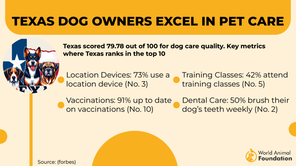 Texas Dog Owners Excel in Pet Care